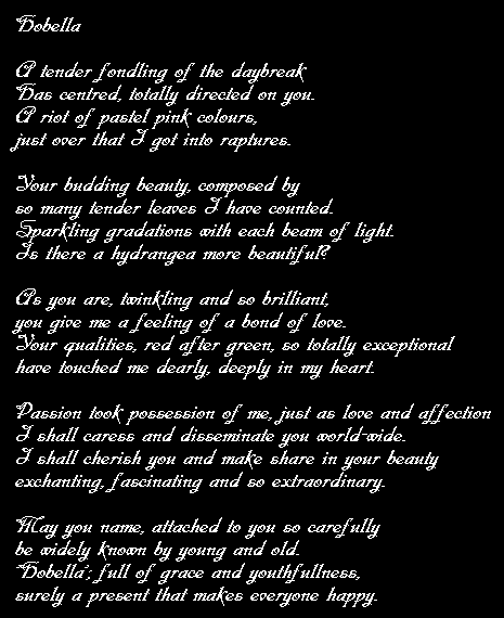 poem 'Hobella'